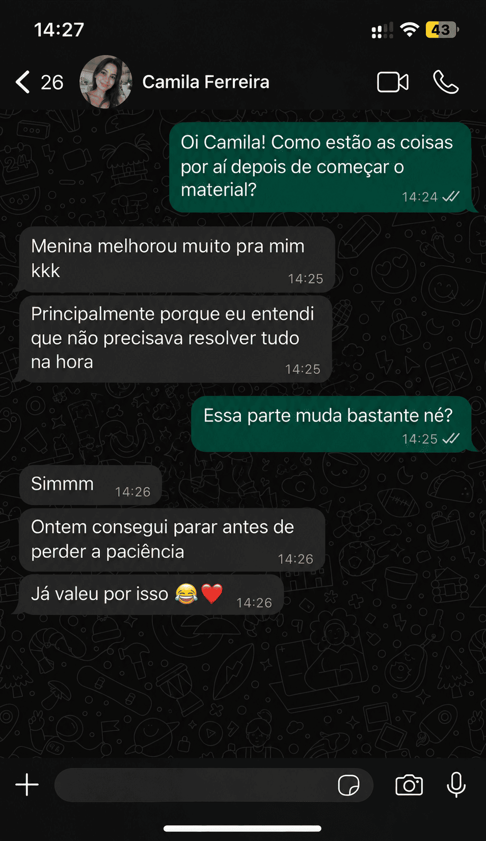 Conversa de WhatsApp com Camila Ferreira
